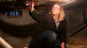 Inspecting a crawlspace during a home inspection